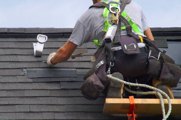 Best Roof Gutter Cleaning  in Monticello, WI